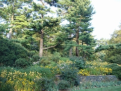 465 Longwood Gardens [2008 August 23]